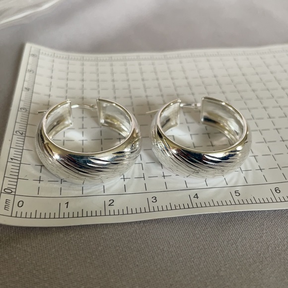 JTV Hoop Earrings - Picture 8 of 9